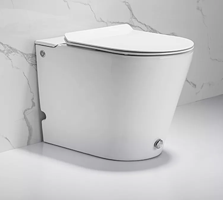 Унитаз ARGENTERA Pulse приставной с функцией импульсного смыва Cerutti SPA  CT7267