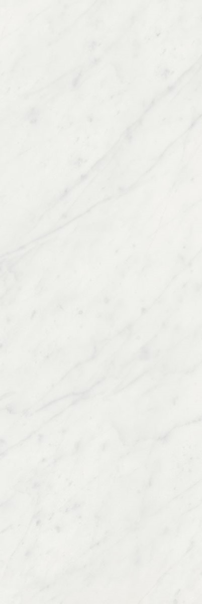 Плитка Борсари белый 25х75, 12103R