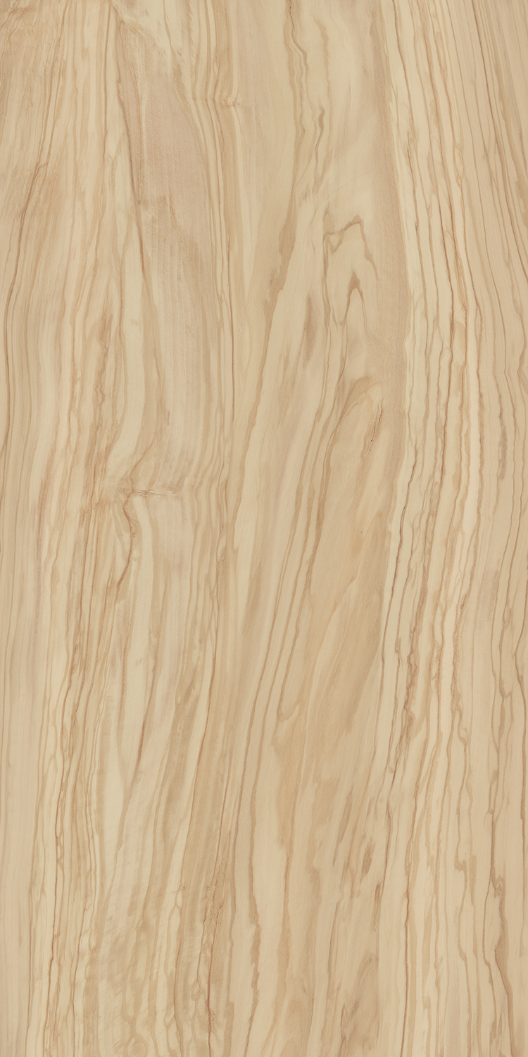 Керамогранит Kerama Marazzi Олива SG565220R 60x119,5x0,9 бежевый