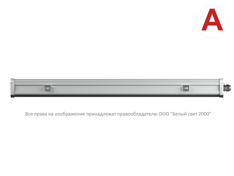 Светильник аварийный BS-AMON-10-L3-24 V02 5000К Белый свет a29205