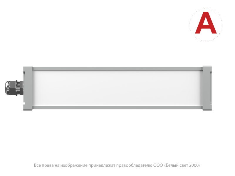 Светильник аварийный BS-AMON-10-L1-12/24 V04 3000К Белый свет a32476