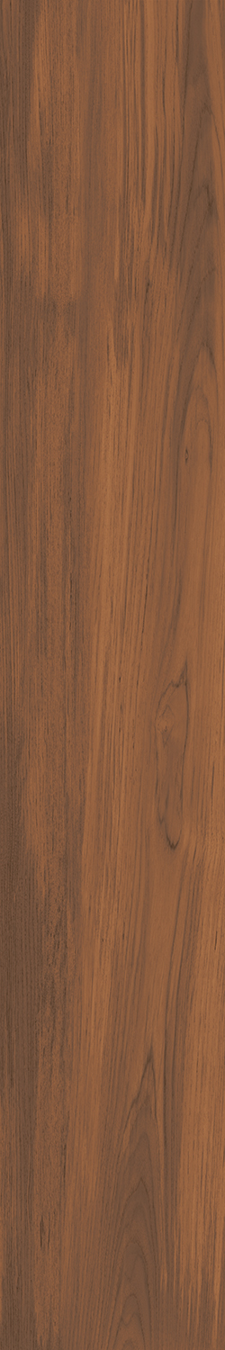 Керамогранит Тектона беж тёмный 40х238,5, DD040000R