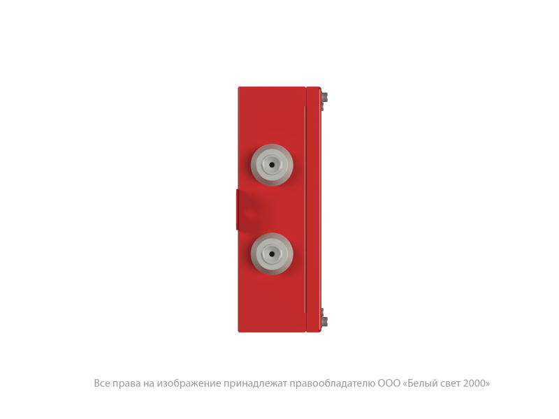 Указатель световой BS-CANRON-81-S1-INEXI2 Белый свет a36673