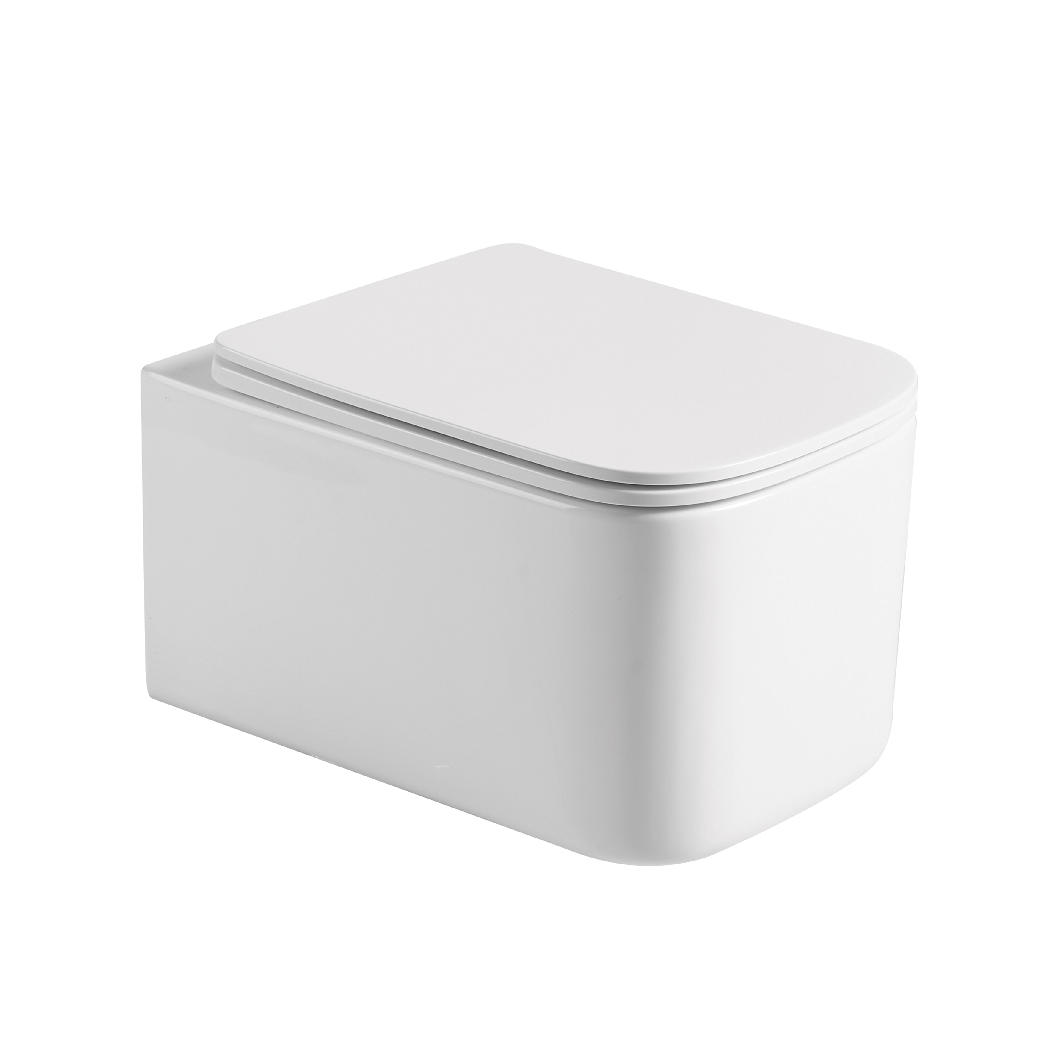 Унитаз подвесной с функцией биде, Mane Белый глянец c крышкой