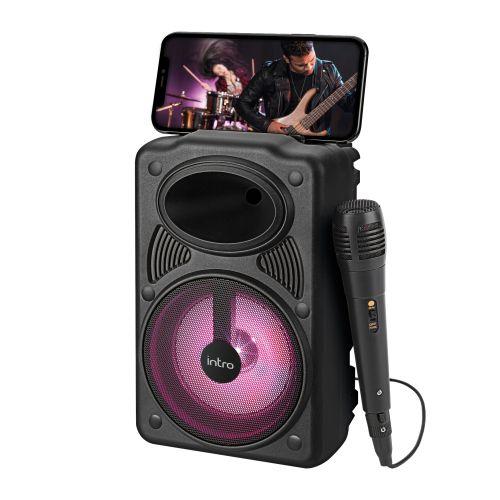 Колонка портативная BRW440 bluetooth беспроводная с микрофоном акустическая черн. Intro Б0057183