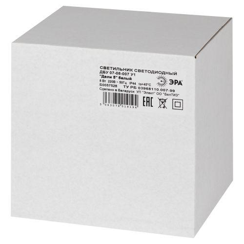 Светильник светодиодный садово-парковый ДБУ 07-8-007 Дели 5 8Вт 3000К IP44 6 гранный настенный бел. Эра Б0064313