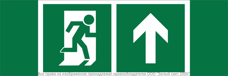 Знак безопасности NPU-3311.E38"Напр. к эвакуационному выходу прямо" Белый свет a32688