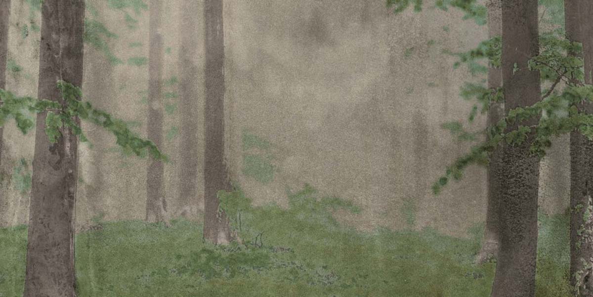 Керамическая плитка W&S D CP4 WOODS B  120X240