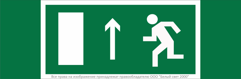 Знак безопасности NPU-3311.E12"Напр. к эвакуационному выходу прямо (лев.)" Белый свет a32675