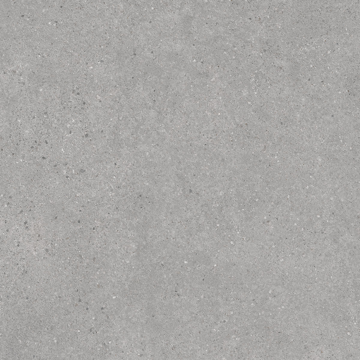 Керамогранит Kerama Marazzi Фондамента серый светлый 60х60, DL600900R