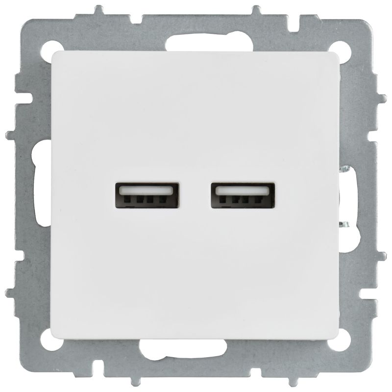 Розетка BRITE РЮ10-1-БрАБ USB A+A 3.1А механизм арктич. бел. IEK BR-U21-D31-K91