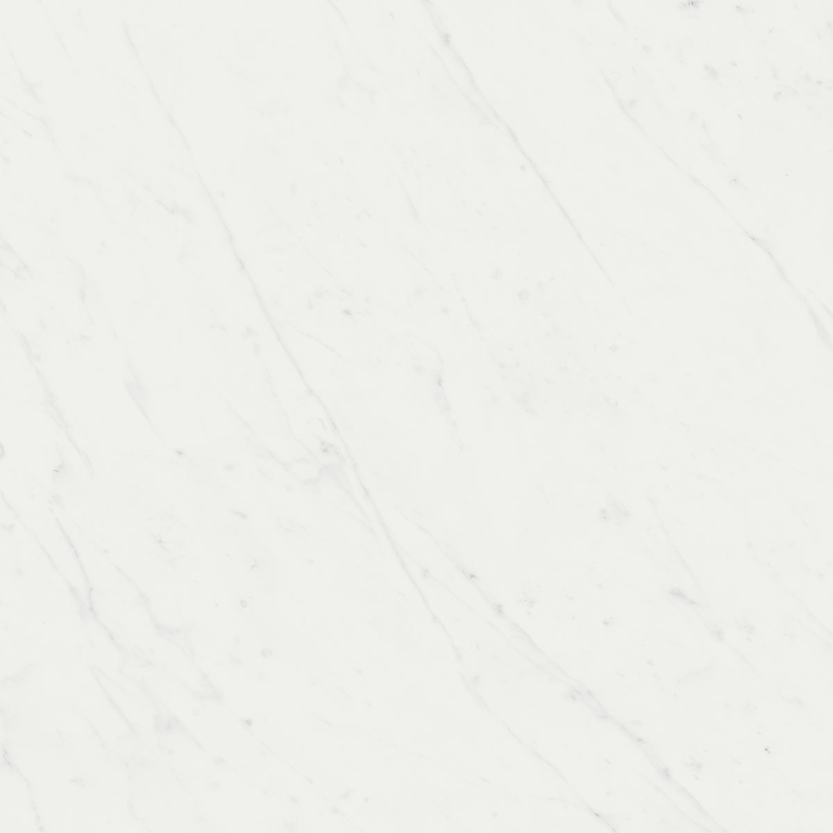 Керамогранит Борсари белый 50,2х50,2, SG453500R