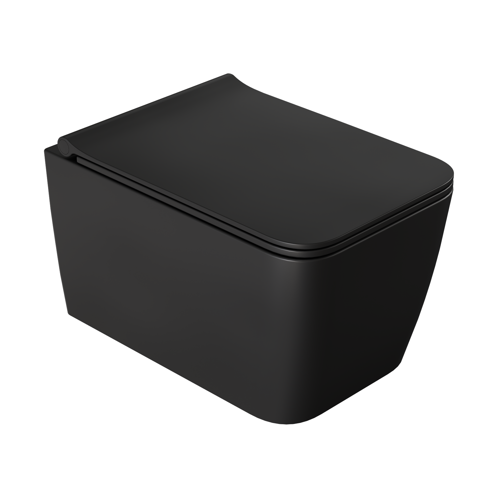 Zen подвесной унитаз с биде матовый черный с крышкой