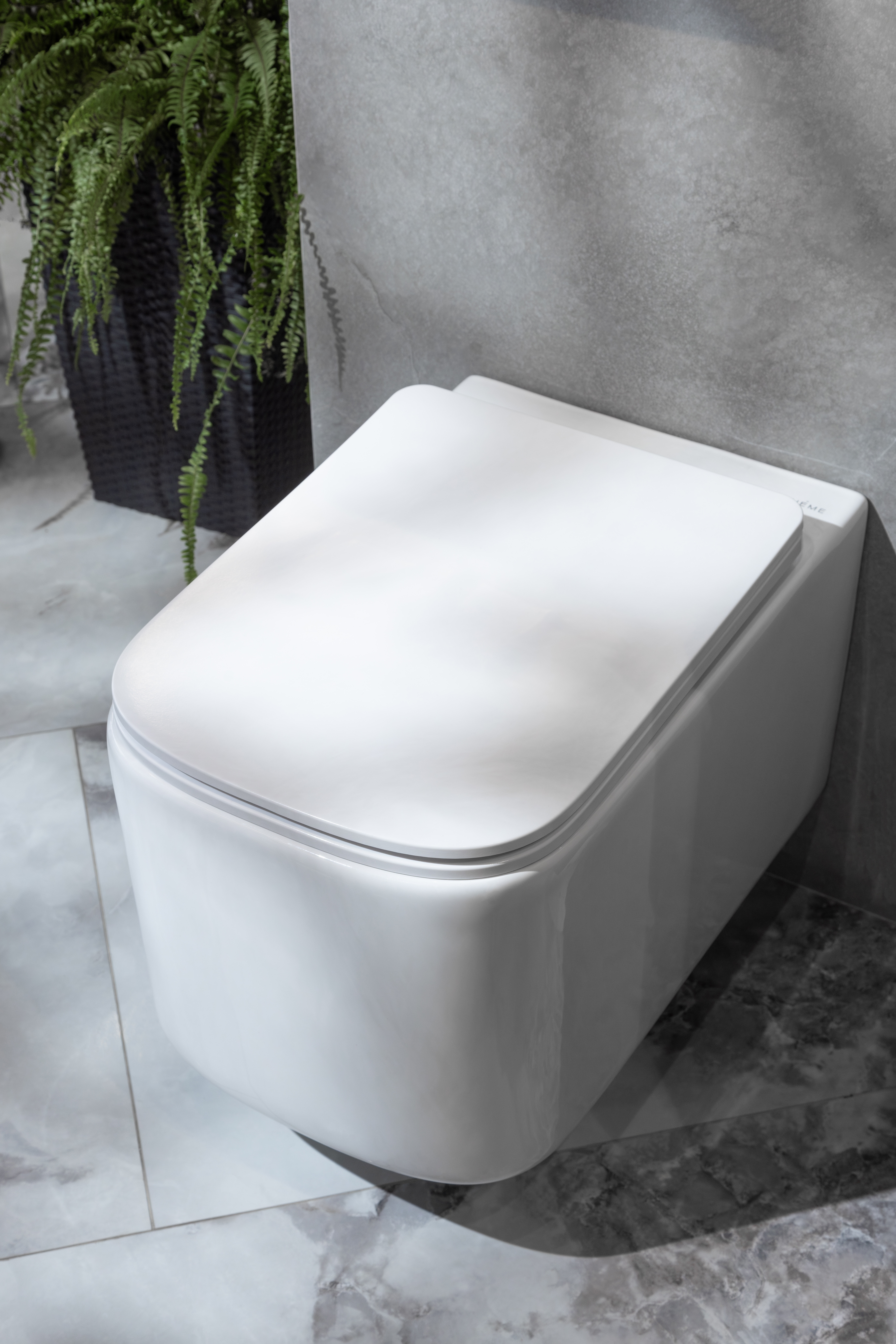 Унитаз подвесной с функцией биде, Mane Белый матовый с крышкой