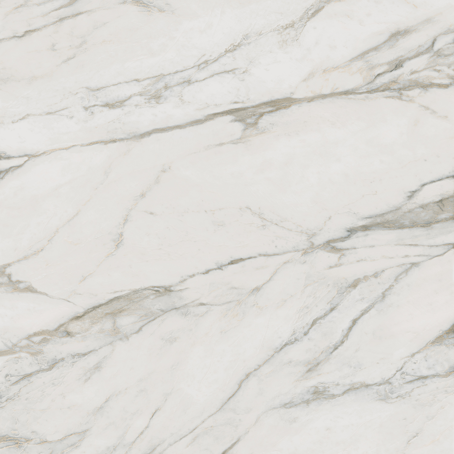 Керамогранит Буонарроти белый 60х60, SG642800R