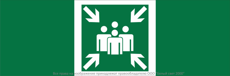 Знак безопасности NPU-3311.E21"Пункт (место) сбора" Белый свет a32680