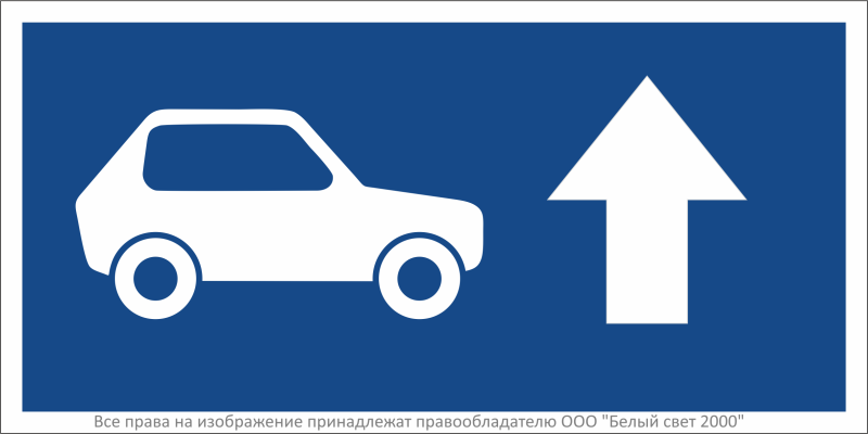 Знак безопасности BL-3015B.N21"Указатель движения автомобилей прямо" Белый свет a32481
