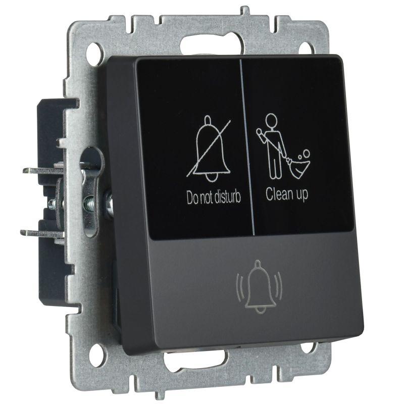 Кнопка звонка BRITE 10А ВС10-1-9-БрГ для отелей с индик. механизм графит IEK BR-V14-2-10-K53