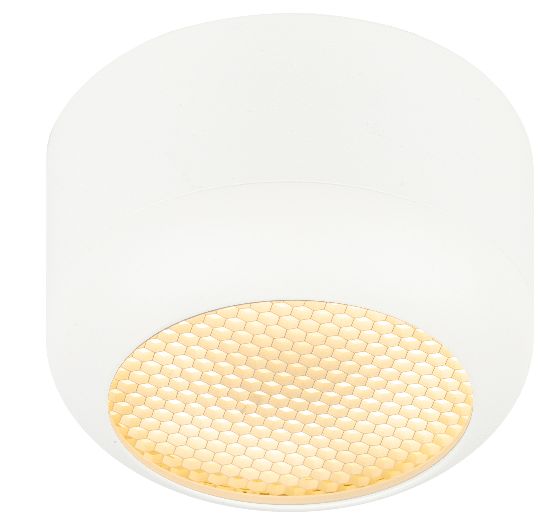 Светильник настенно-потолочный спот OL56 WH под лампу GX53 белый IP20