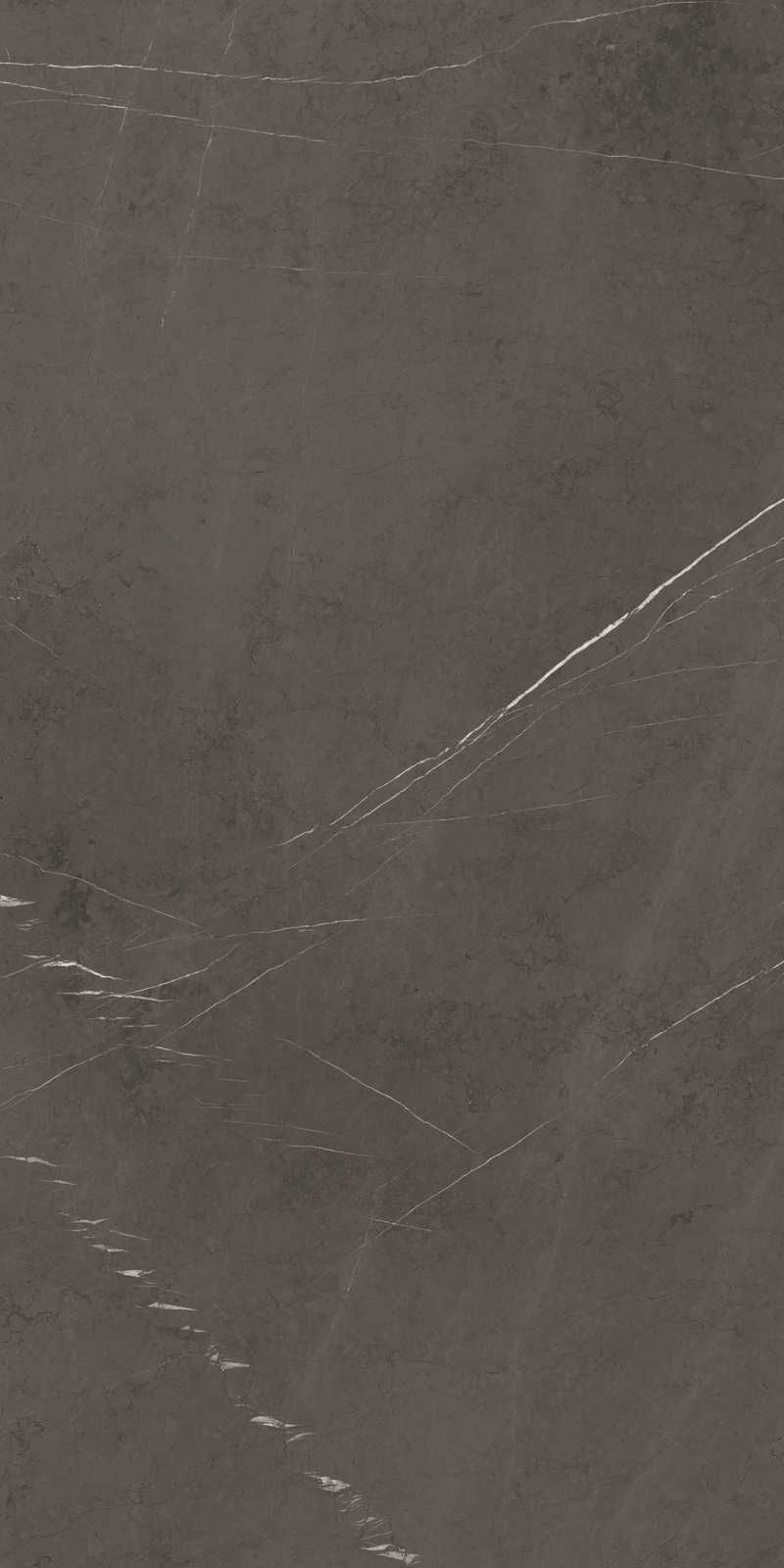 Плитка из керамогранита матовая Marazzi Italy Grande Marble Look серый (M110)