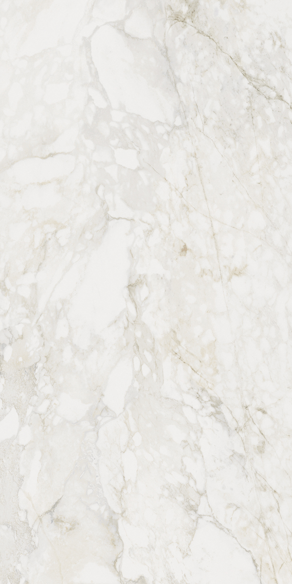 Керамический гранит MEDLEY PRINCE MOL.RET.60X120