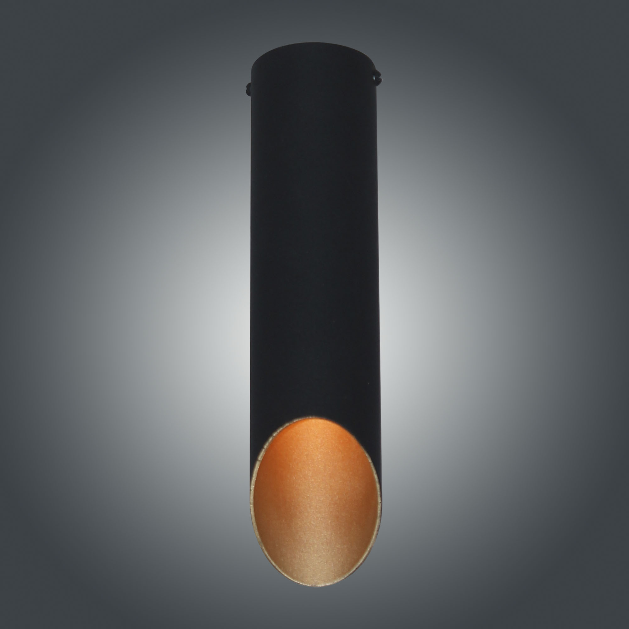 Светильник потолочный Соната 112 черн./зол. НПБ 01-25-102 G9