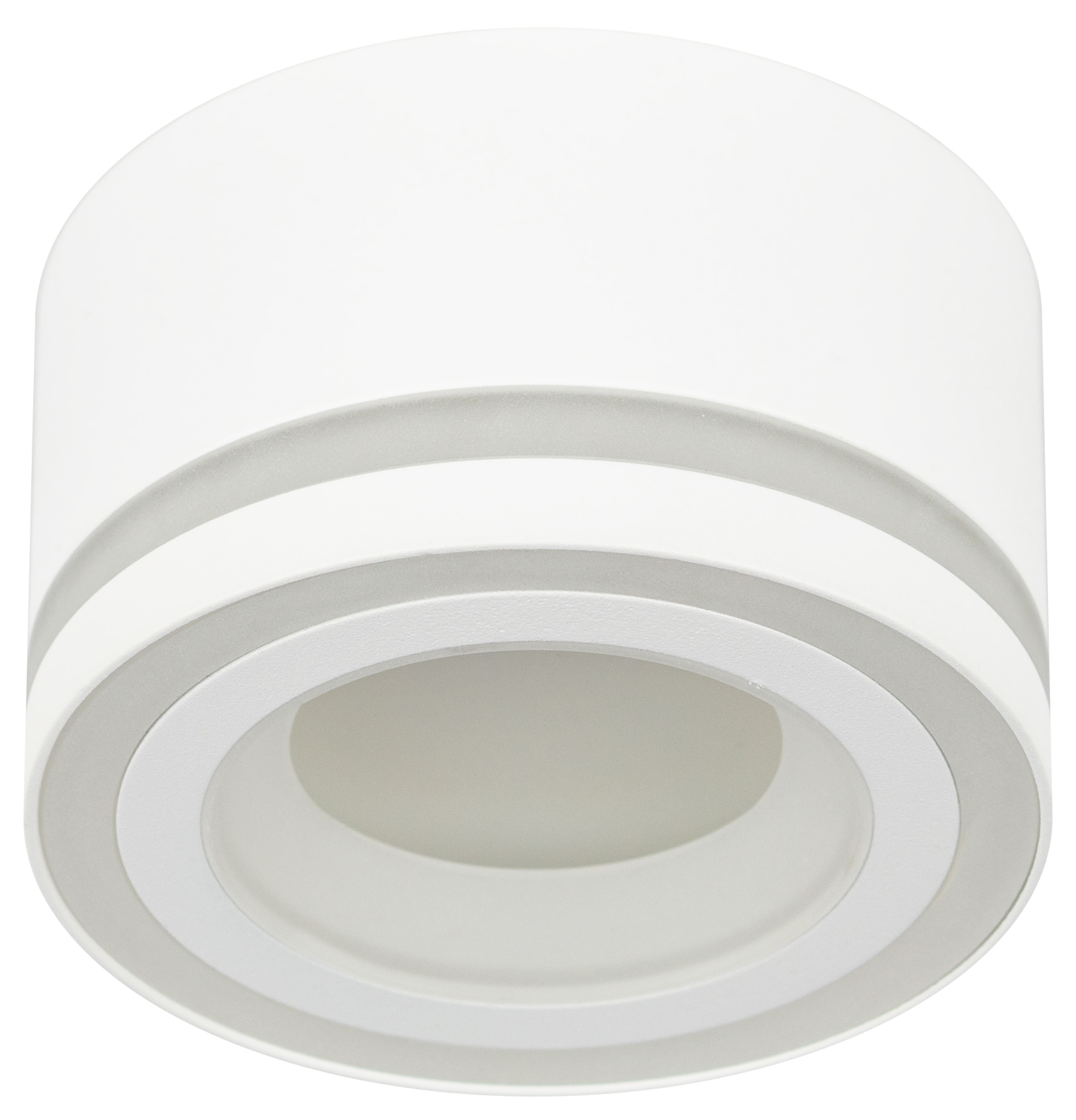 Светильник настенно-потолочный спот OL51 WH GX53 IP20 белый