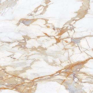 Calacatta Gold 120x120 Polished (6мм)