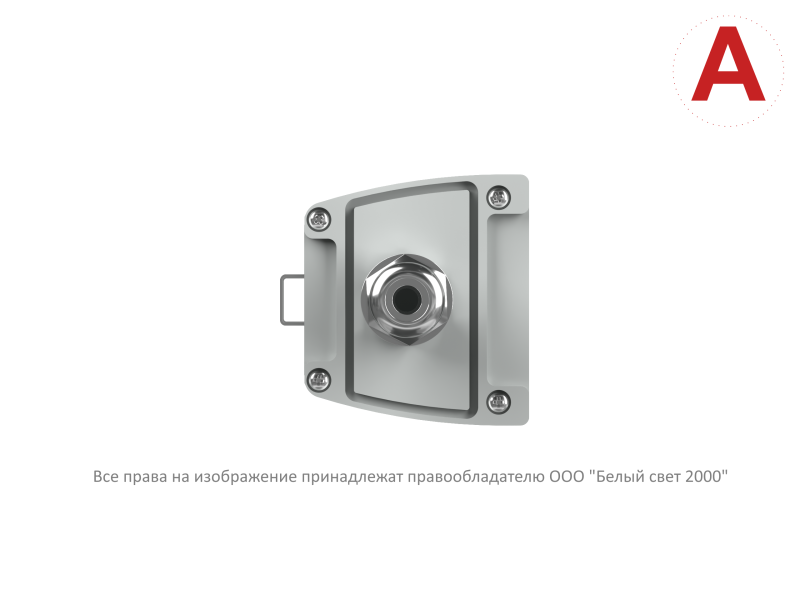 Светильник аварийный BS-AMON-10-L2-24 V02 4000К Белый свет a29201