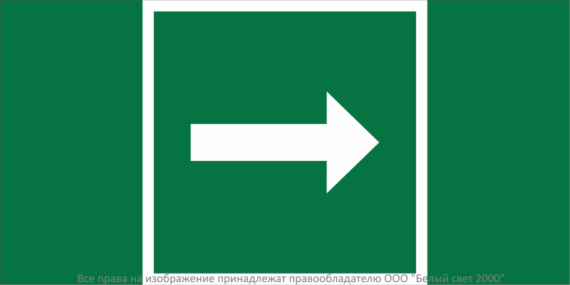 Знак безопасности BL-2010B.C01"Направление движения к защитным сооружениям" Белый свет a31659