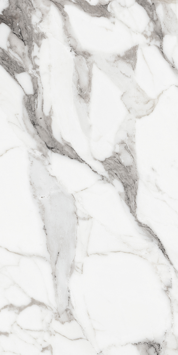 Керамогранит LES ORIGINES DE REX  ARGENT GLOSSY 60X120