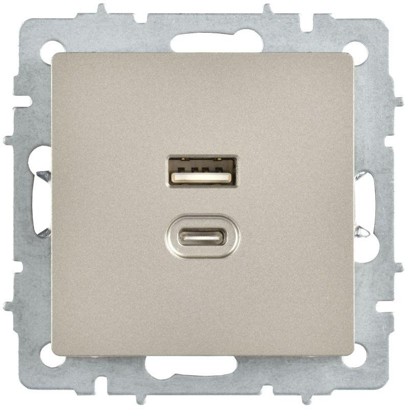 Розетка СП BRITE РЮ11-2-БрШ USB A+C 45Вт высокоскор. заряд. шампань IEK BR-U22-045-K37