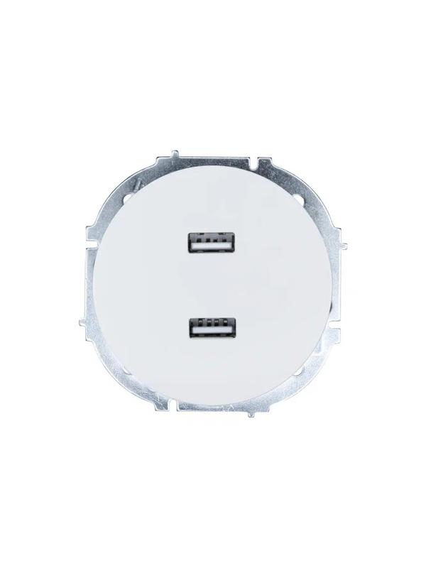 Розетка 2-м СП OSEN USB разъем бел. LEZARD 743-0288-192