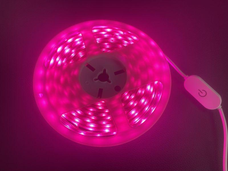 Лента светодиодная ФИТО DSL-010 IP65 (уп.3м) Camelion 15840