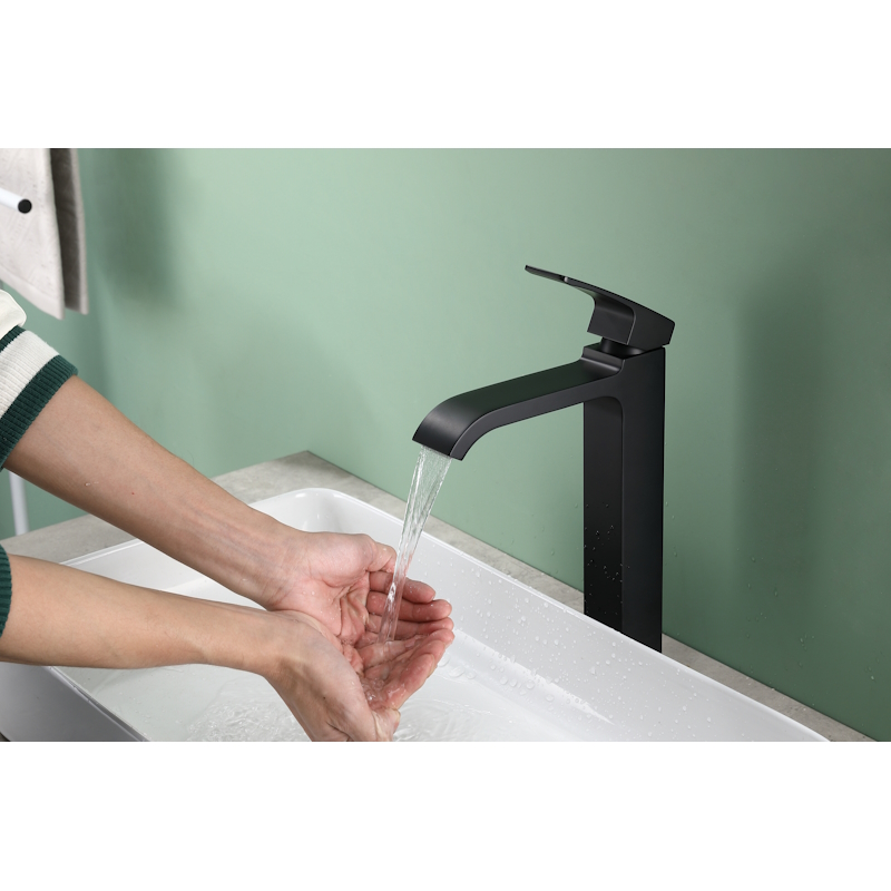 Смеситель для раковины высокий Raglo R02.15.06, черный