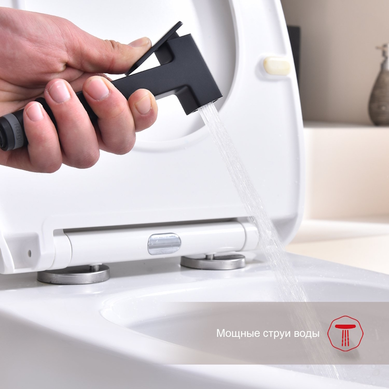 Гигиенический душ со смесителем Raglo R51.51.06, черный