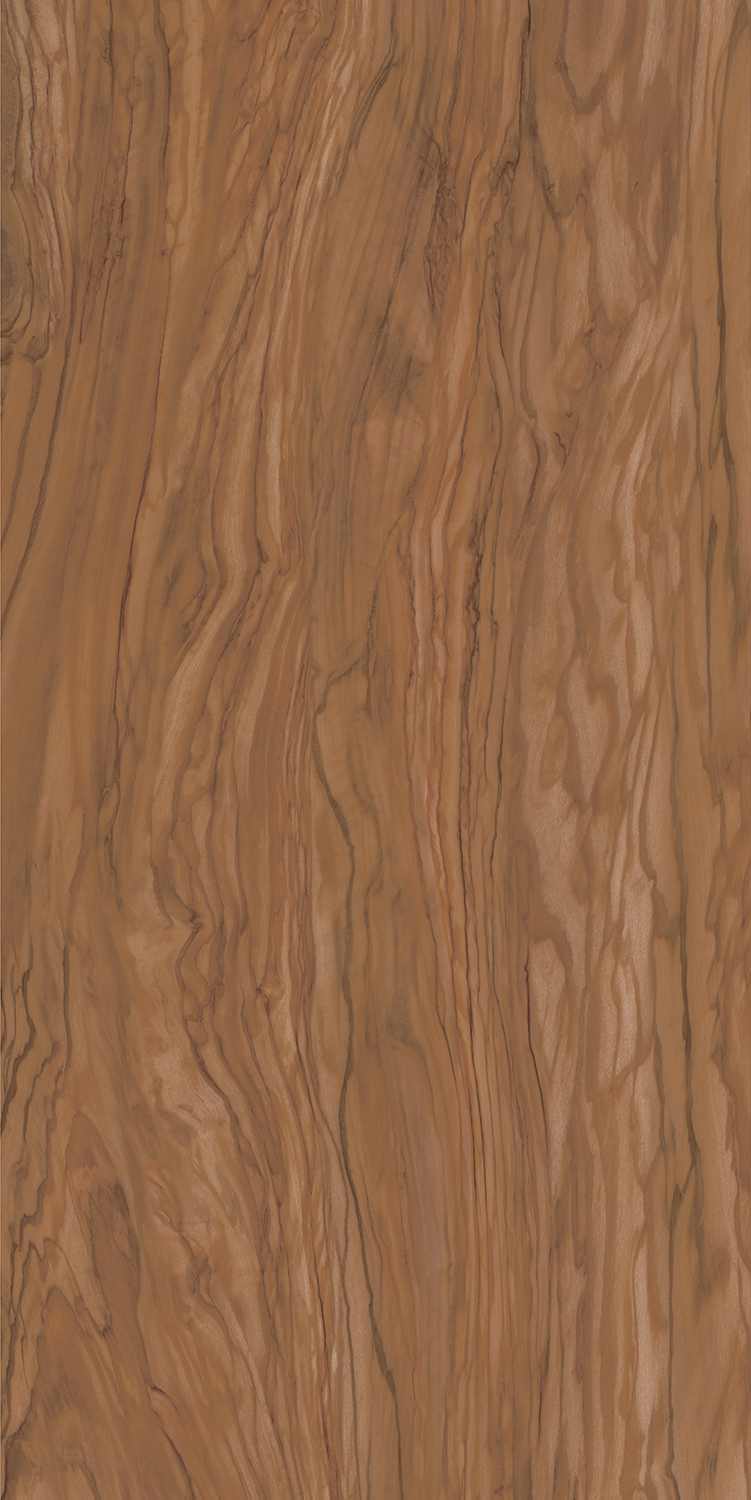 Керамогранит Олива коричневый 60х119,5, SG565300R