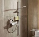 Душевой гарнитур Hansgrohe Raindance Select S 120 3jet 27646000