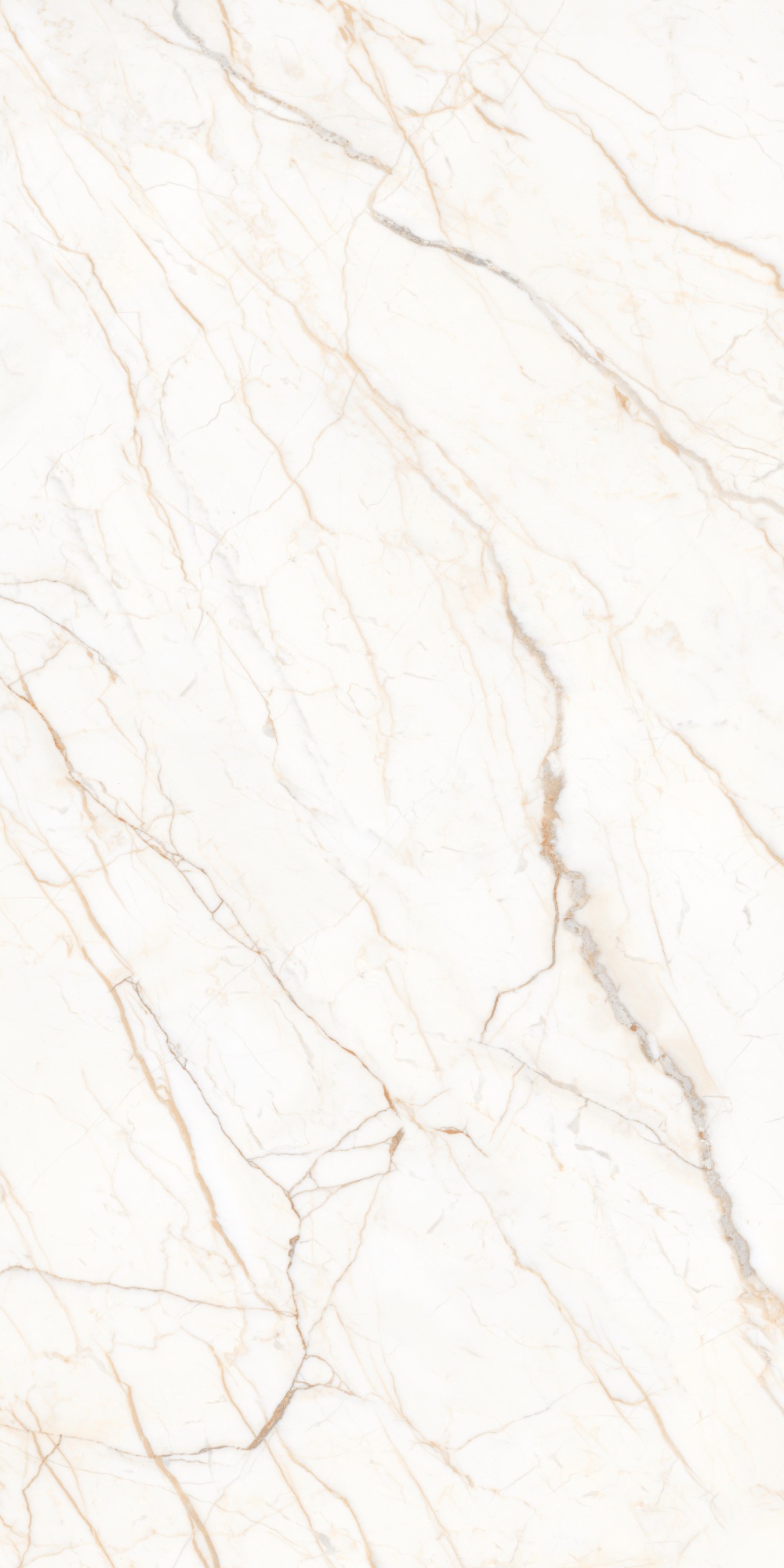 Плитка из керамогранита матовая Simpolo Simpolo белый (MPL-058752)