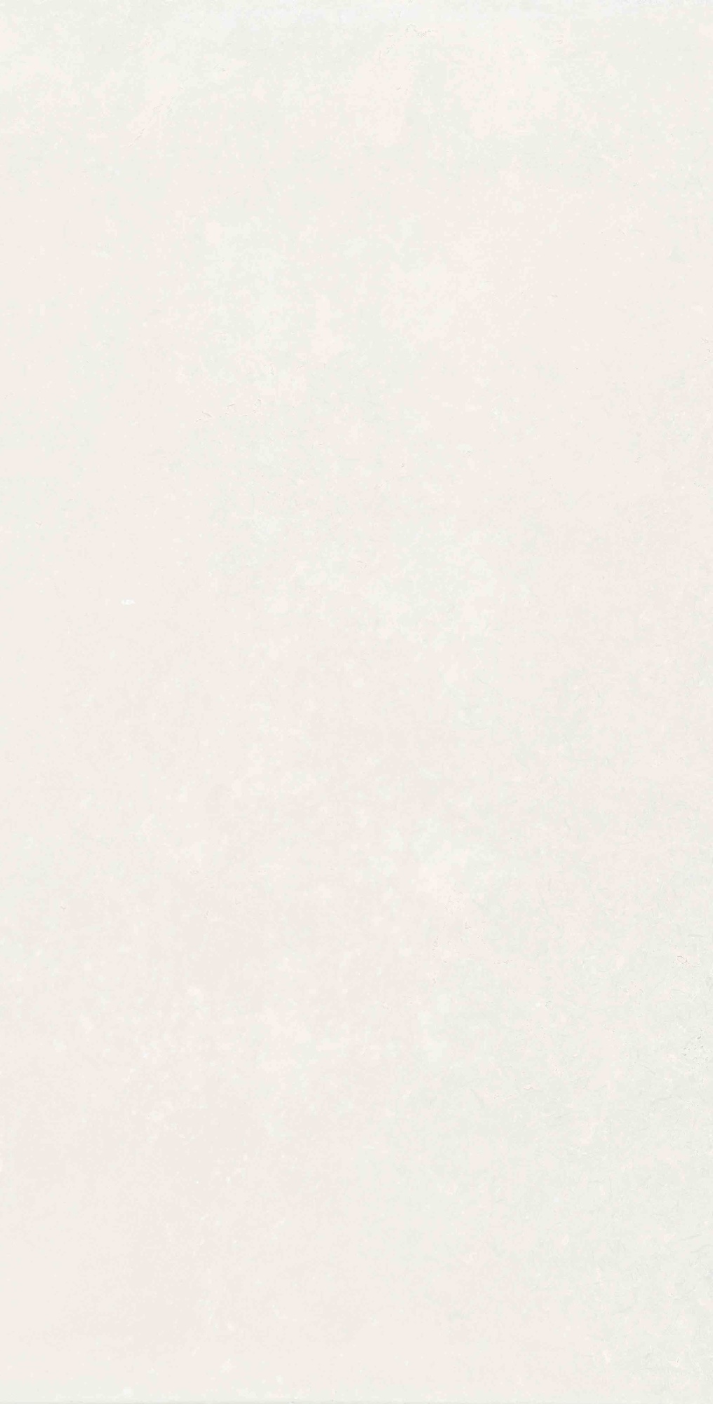 Плитка Mon Hazy Garden 30х60