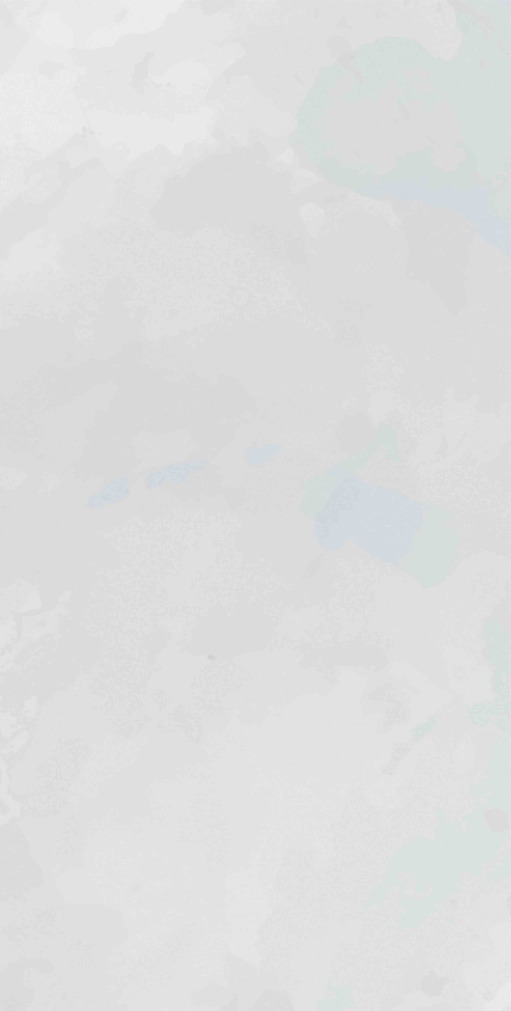 Плитка Mon Cloudy Garden 30х60