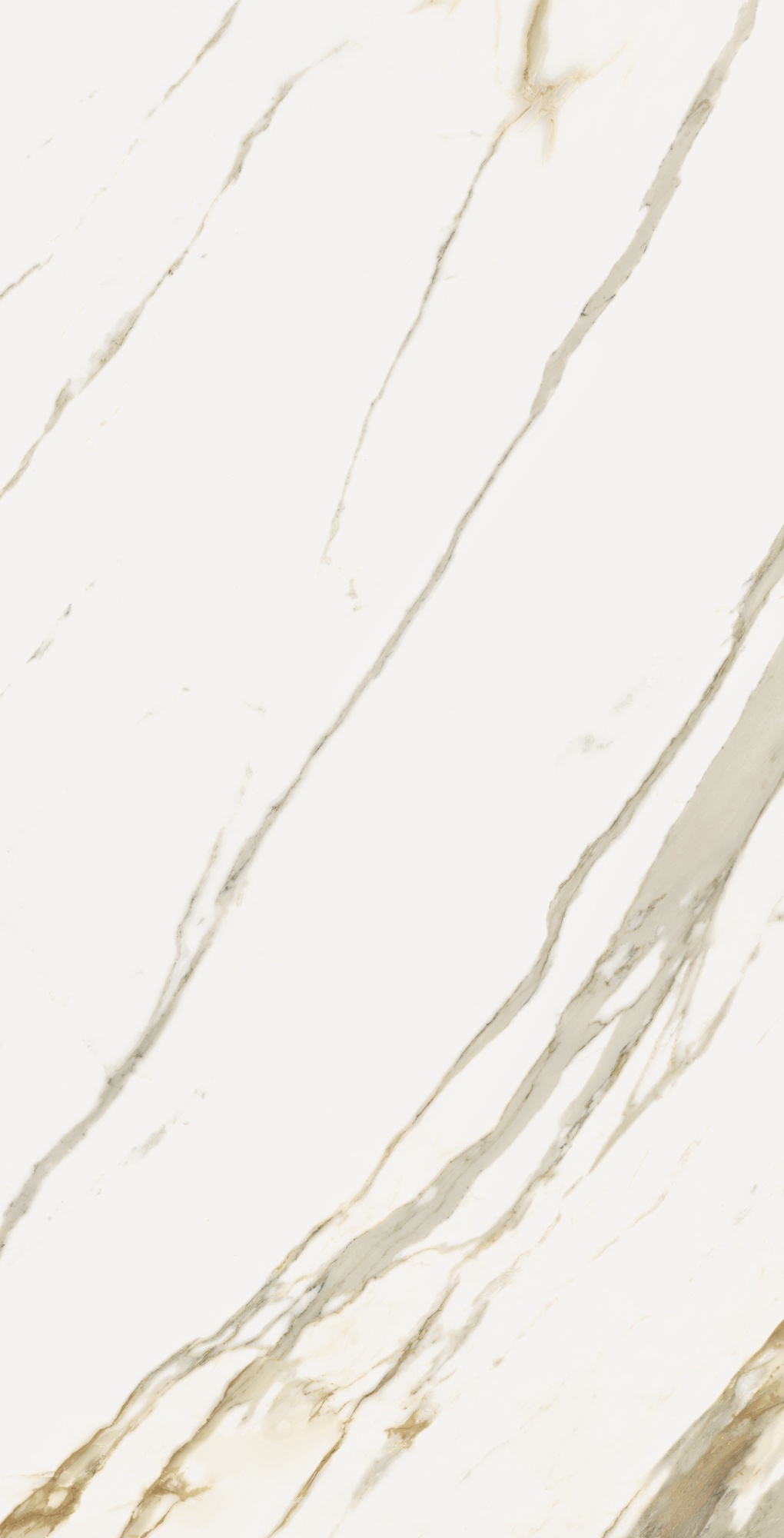 Плитка из керамогранита полированная Italon Стелларис белый (610015000684)